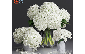 White Hydrange and peony Twig Vases decorative Set