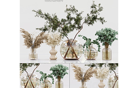 Collection Indoor Plants 01