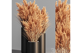 Indoor_Plant_Set_48 (pampas)