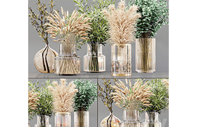 Collection Indoor Plants 02