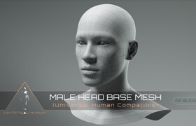 Universal Human Male Head Base Mesh v3.0