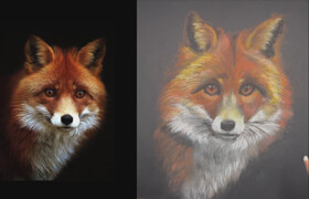 Udemy - Soft Pastel Animals Drawing for beginners