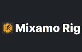 Mixamo Rig