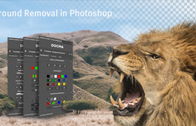 Picture Instruments - Docma Freistellen