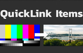 QuickLink Items