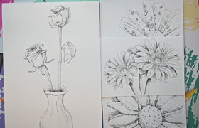 Udemy - MasterClass Drawing Flowers with a Pen and a bit of Graphite