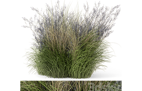 Outdoor Plants Bush-Bush Set 660