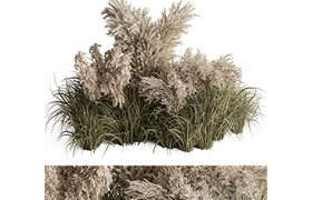 Mixed Pampas Plant Bush Set 95