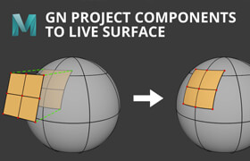GN Project Components To Live Surface