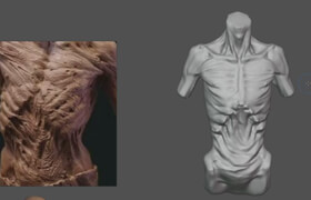 Udemy - Torso anatomy exercises course