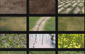 Graswald - Full fbx archive - 模型