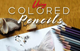 Using Colored Pencils To Draw Animals In No Time (EPUB) - book