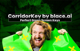 CorridorKey by blace.ai