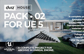 DVIZ - House Pack 2 UE5 - UE 模型