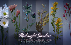 Gumroad - Midnight Garden Plants and Flowers - 参考照片