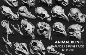 ArtStation - Animal Bones Collection IMMStlObj Brush Pack 21 in One Vol.1 - 模型