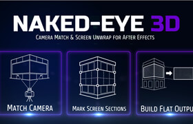Naked-Eye 3D
