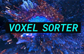 Voxel Sorter