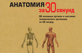 Анатомия за 30 секунд (Габриэль М. Финн (ред.) - book