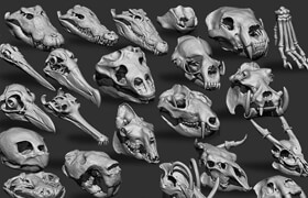 ArtStation - Animal Bones Collection Pack 25 in One Vol.2 - 模型