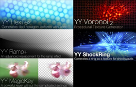 Andrew Yang Bundle