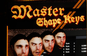 Master Shape Keys