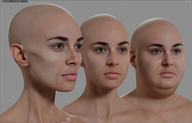 3D Scan Store - Morphable Male and Female Base Meshes - 模型