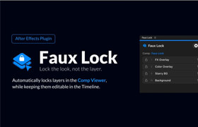 Faux Lock
