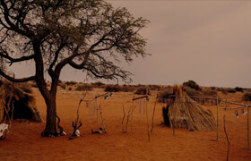 Skylum - Discover Africa Presets for Luminar Neo