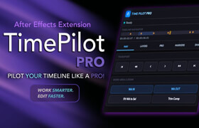 TimePilot Pro