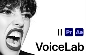 VoiceLab