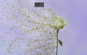 Udemy - Adobe Photoshop advanced course Vol.1