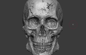 Udemy - Mastering skull sculpting in Zbrush