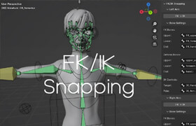 FK/IK Snapping Tools