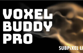 Voxel Buddy Pro