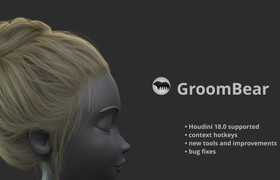 Groombear - Houdini Plugin