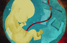 Domestika - Illustration with a Social Purpose Leave Your Artistic Mark
