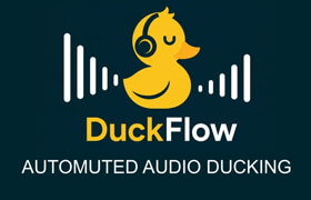 DuckFlow