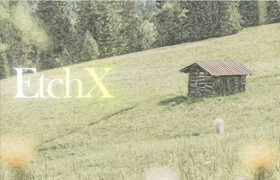 EtchX