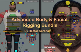 HatRigs - Advanced Body and Facial rigging workshops