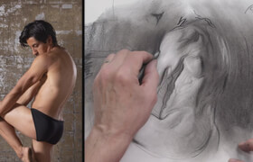 Proko - Drawing Basics by Stan Prokopenko  - Complete（1-185）
