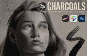 Lucas Peinador - LP Charcoal Brushes