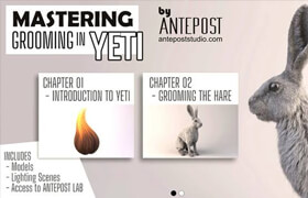 AVASCOT - Mastering Grooming in YETI