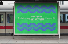Domistika - Dynamic Design Introduction to Flexible Visual Identities