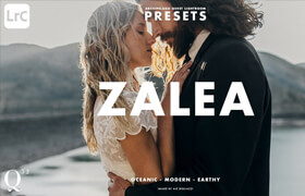 Archipelago Quest  - Quest 32 Zalea Presets