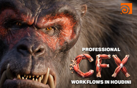DoubleJump Academy - Professional CFX Workflows in Houdini