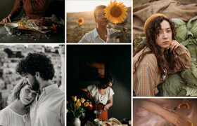 Meridian Presets - Terra Presets