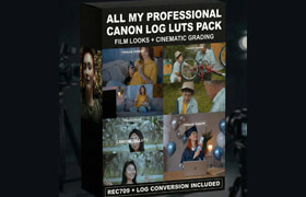 Thiago Vibesp - All Canon Log Luts