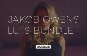 Vamify - Jakob Owens LUT Bundle 1