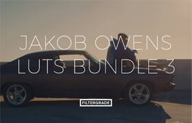 Vamify - Jakob Owens LUT Bundle 3